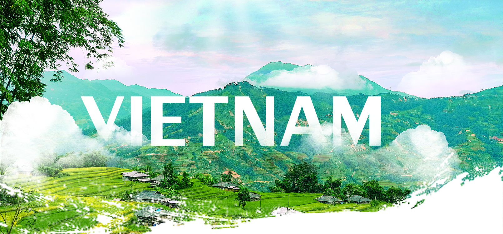 học online