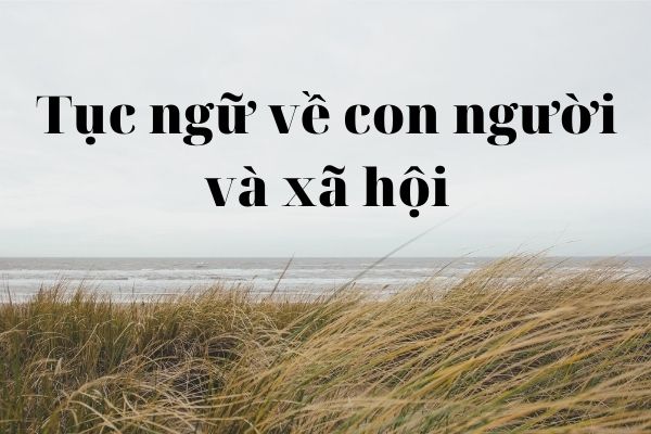 Tục ngữ về xã hội